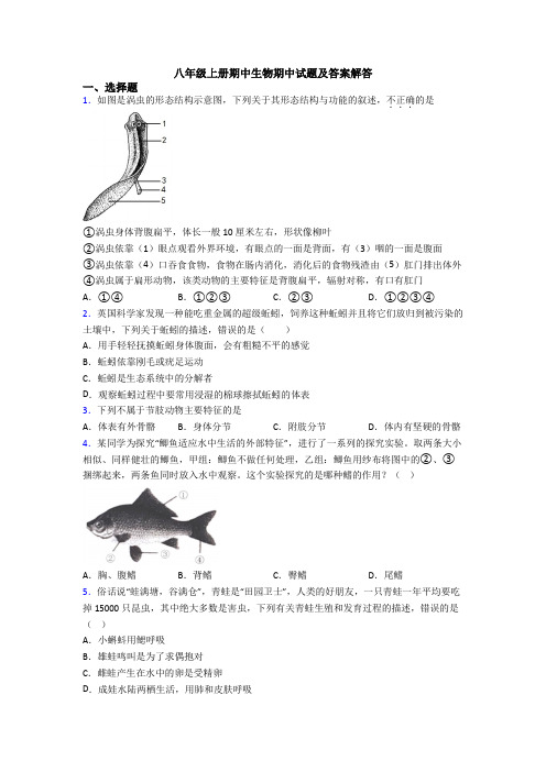 八年级上册期中生物期中试题及答案解答