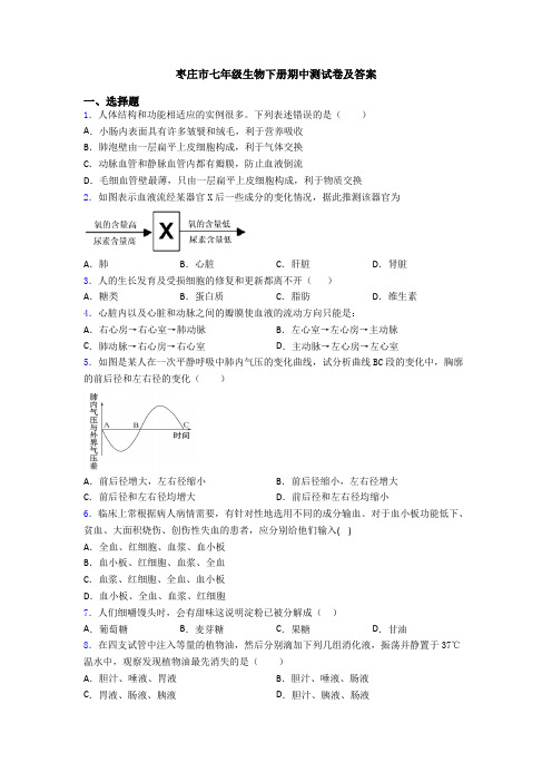 枣庄市七年级生物下册期中测试卷及答案