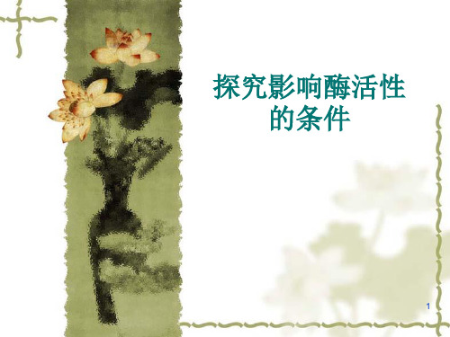 人教版高中生物必修一第5章第1节降低化学反应活化能的酶---探究影响酶活性的条件教学课件(共14张PPT)