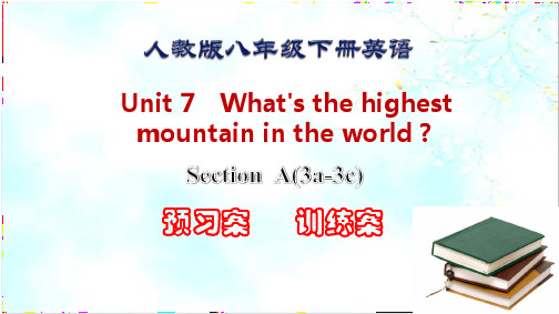 人教版八年级英语下册 Unit7 Section A(3a-3c)预习-训练案