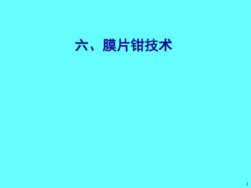 培训学习资料-膜片钳技术-2022年学习资料