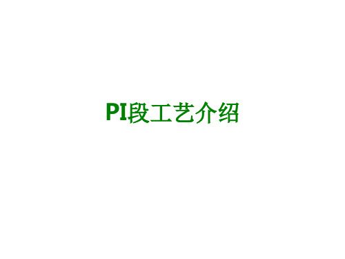 PI段工艺介绍经典课件