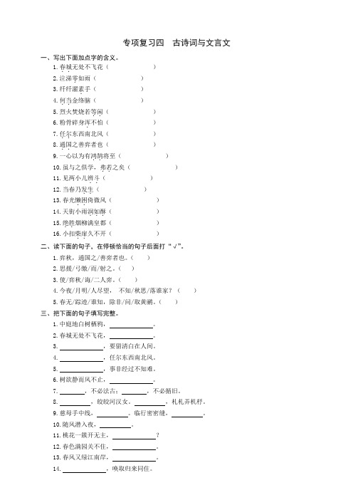 2020统编部编人教版六年级下册语文：专项复习四古诗词与文言文同步练习题