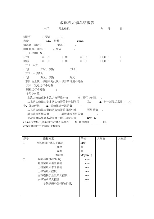 水轮机大修总结报告