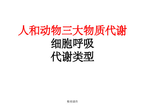 人和动物三大物质代谢细胞呼吸代谢类型