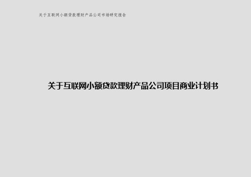 关于互联网小额贷款理财产品公司项目商业计划书