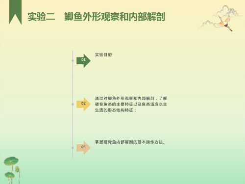 实验二鲫鱼外形观察和内部解剖