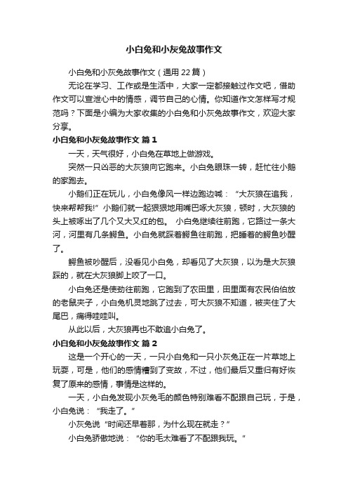 小白兔和小灰兔故事作文（通用22篇）