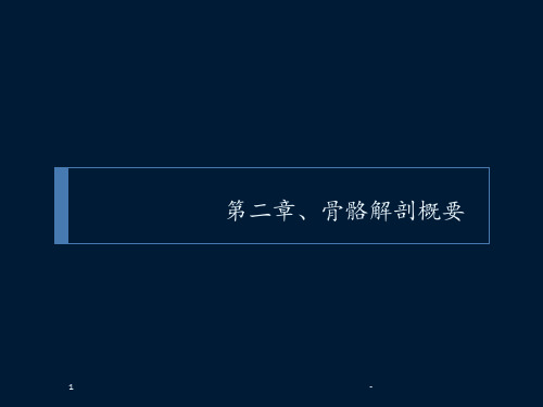 2体质人类学-第二章-骨骼解剖概要(骨骼)PPT课件