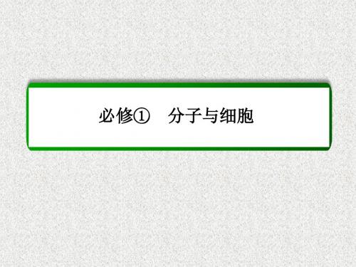 2015届高考生物(人教版通用)总复习教学课件：第13讲 细胞的分化、衰老、凋亡与癌变