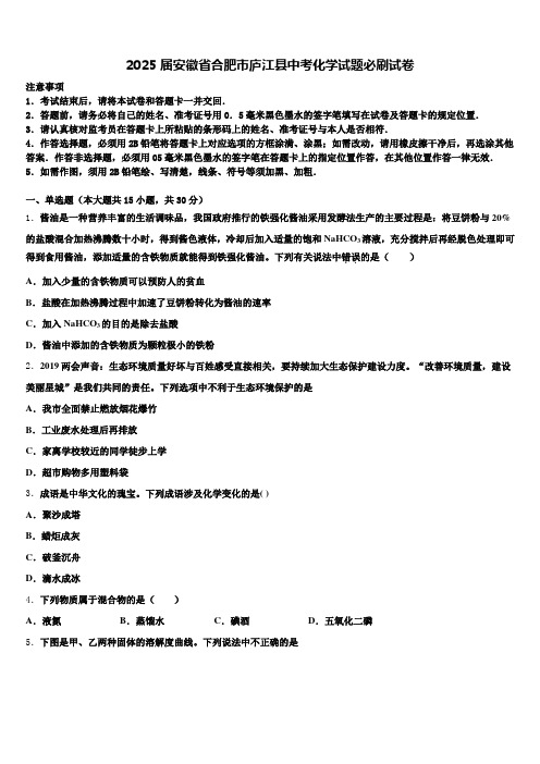 2025届安徽省合肥市庐江县中考化学试题必刷试卷含解析