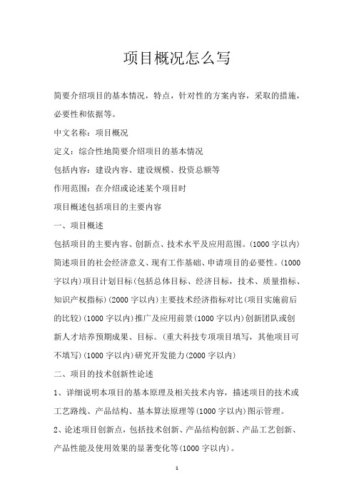项目概况怎么写