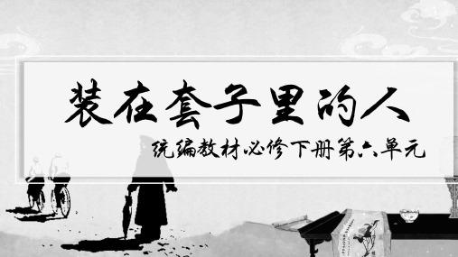 13.2《装在套子里的人》课件31张++2021-2022学年统编版高中语文必修下册