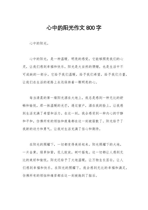 心中的阳光作文800字