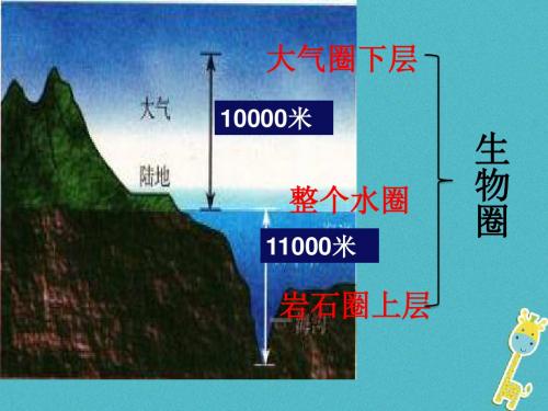 七年级生物上册1.1形形色色的生物课件(新版)北师大版