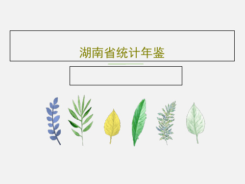 湖南省统计年鉴共25页文档