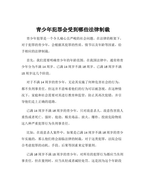 青少年犯罪会受到哪些法律制裁