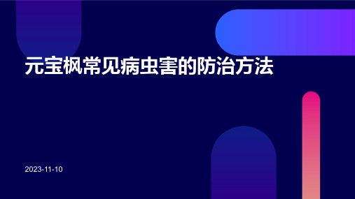 元宝枫常见病虫害的防治方法