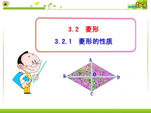 3.2.1  菱形的性质