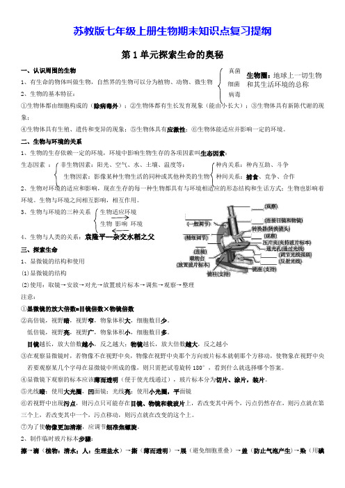 苏教版七年级上册生物期末知识点复习提纲