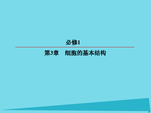 高考生物一轮复习第1节细胞膜系统的边界细胞核系统的控制中心课件新人教版 (1)必修一