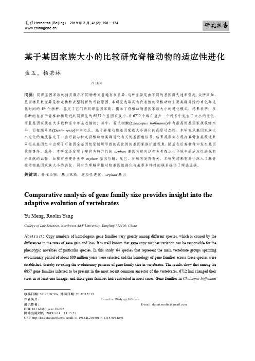 基于基因家族大小的比较研究脊椎动物的适应性进化