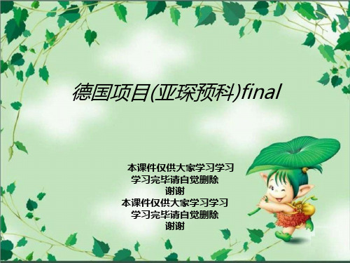 德国项目(亚琛预科)final