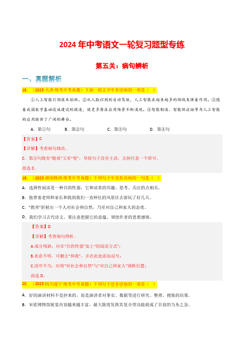 第5关：病句辨析(解析版)-2024年中考语文一轮复习题型专练