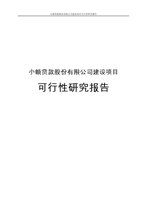 小额贷款股份有限公司建设项目可行性研究报告