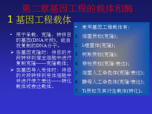 基因工程2ppt课件