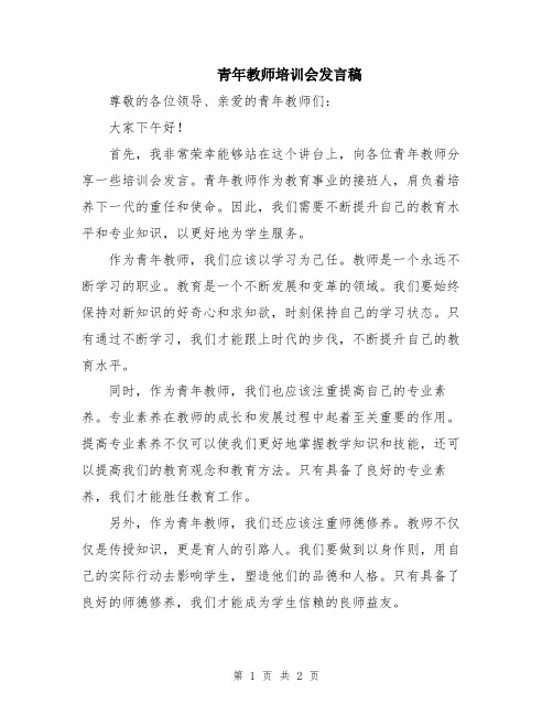 青年教师培训会发言稿