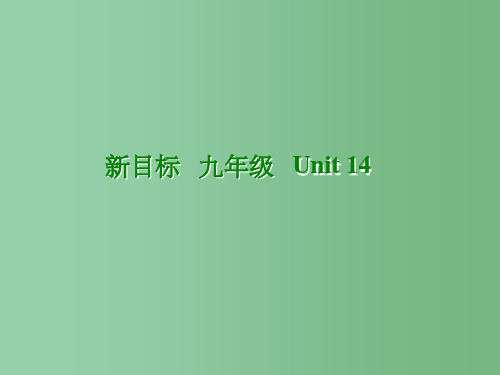 九年级英语全册《Unit 14  Have you packed yet-Section B 1》课