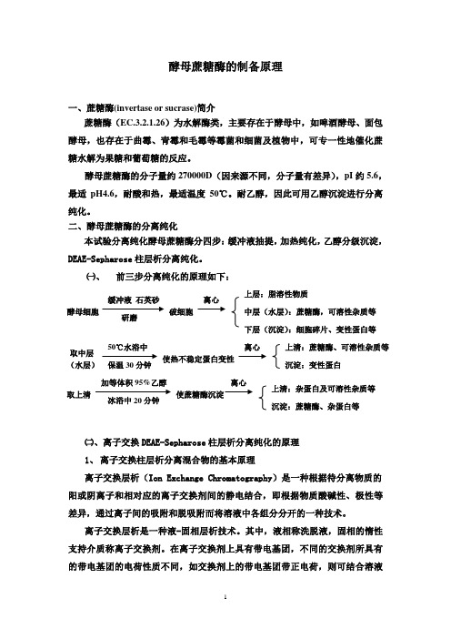 浙江大学生物化学实验甲 2011-酵母蔗糖酶的提取原理