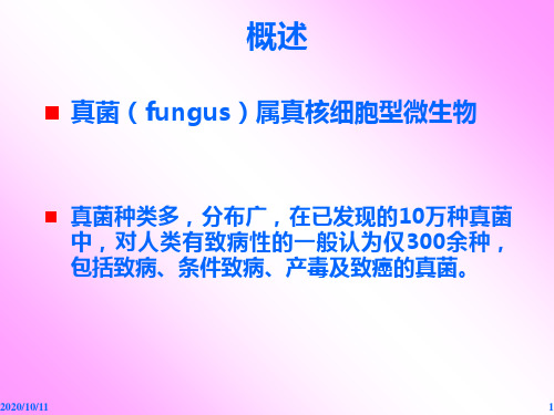 五单元_第四章 _第三节 真菌(1)