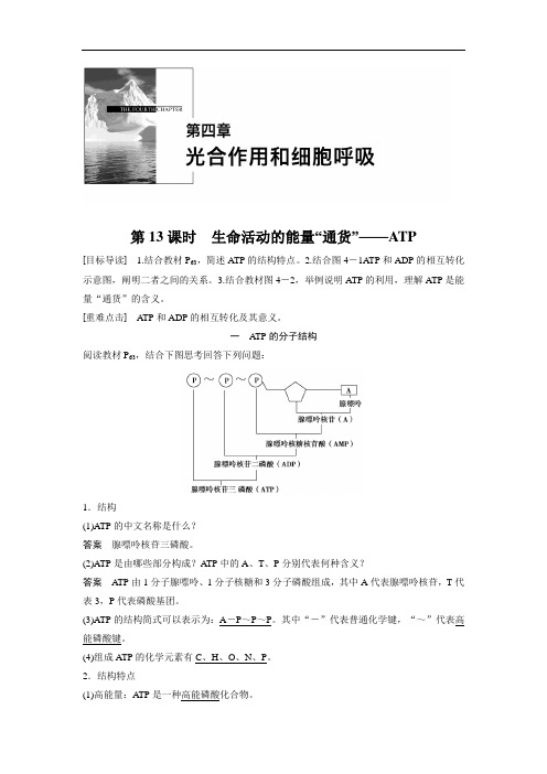 苏教版必修精品学案：   生命活动的能量“通货”——ATP Word版含解析