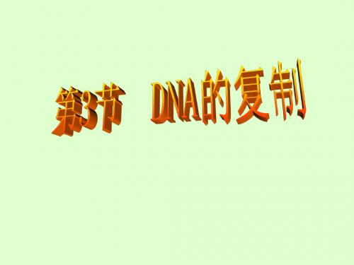 DNA分子的复制