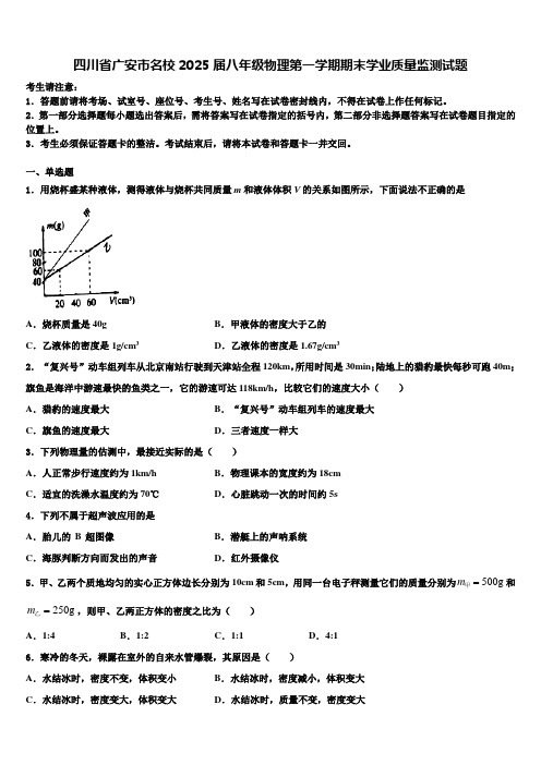 四川省广安市名校2025届八年级物理第一学期期末学业质量监测试题含解析