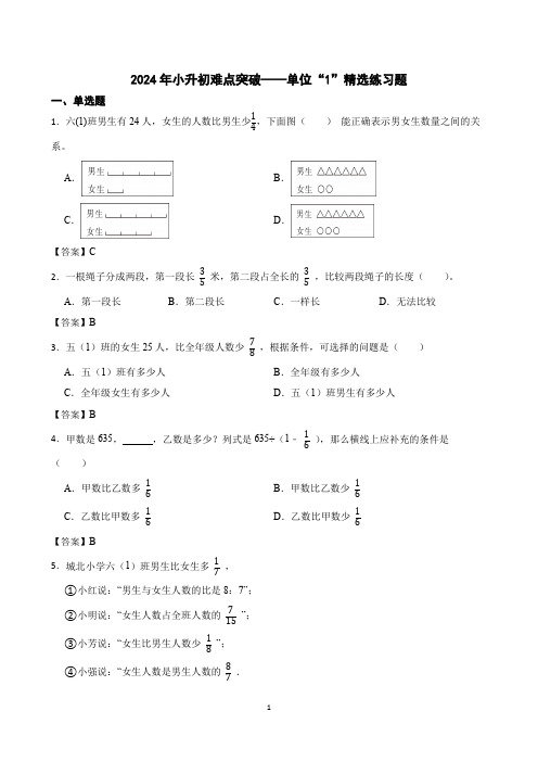 2024年小升初难点突破——单位“1”