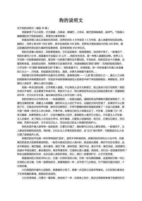 关于狗的说明文（精选38篇）