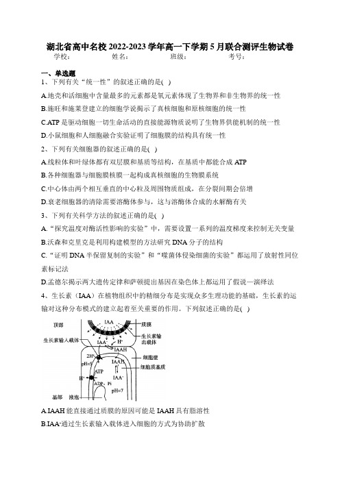 湖北省高中名校2022-2023学年高一下学期5月联合测评生物试卷(含答案)