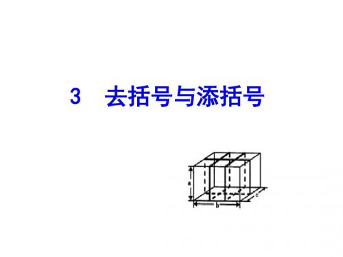 去括号和添括号ppt