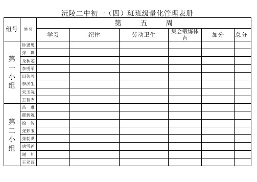 班级管理量化表