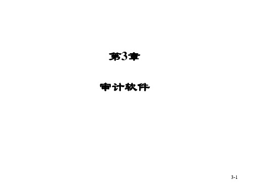 《计算机辅助审计原理及应用(第三版)》PPT第3章 审计软件