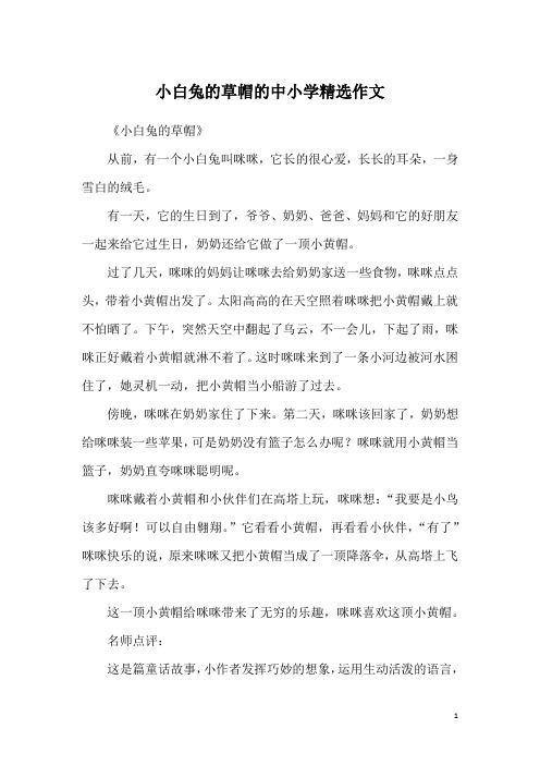 小白兔的草帽的中小学精选作文