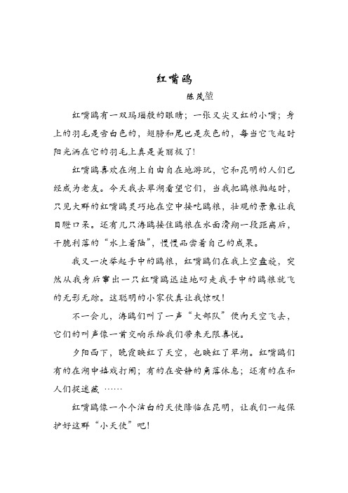小升初作文
