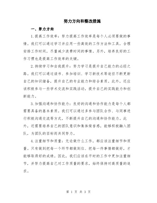 努力方向和整改措施