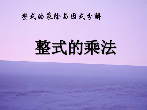 《整式的乘法》整式的乘除与因式分解PPT课件二