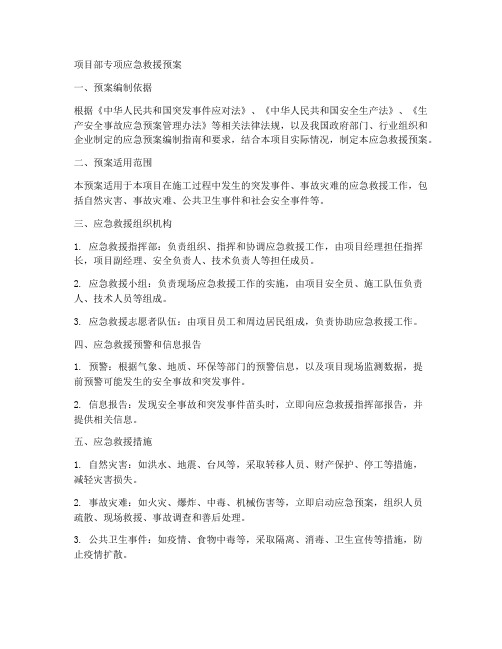 项目部专项应急救援预案