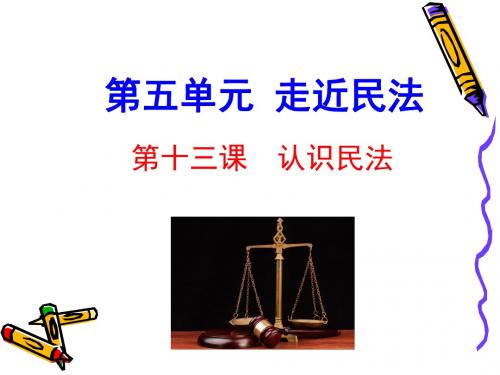 教科版九年级道德与法治上册 第十三课 认识民法(29张幻灯片)