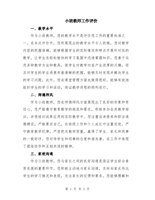 小班教师工作评价